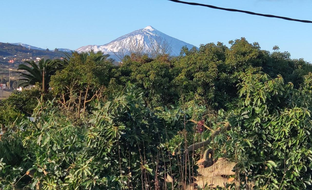 La Chimenea Verde กาโกรอนเต ภายนอก รูปภาพ