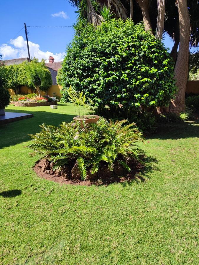 La Chimenea Verde กาโกรอนเต ภายนอก รูปภาพ
