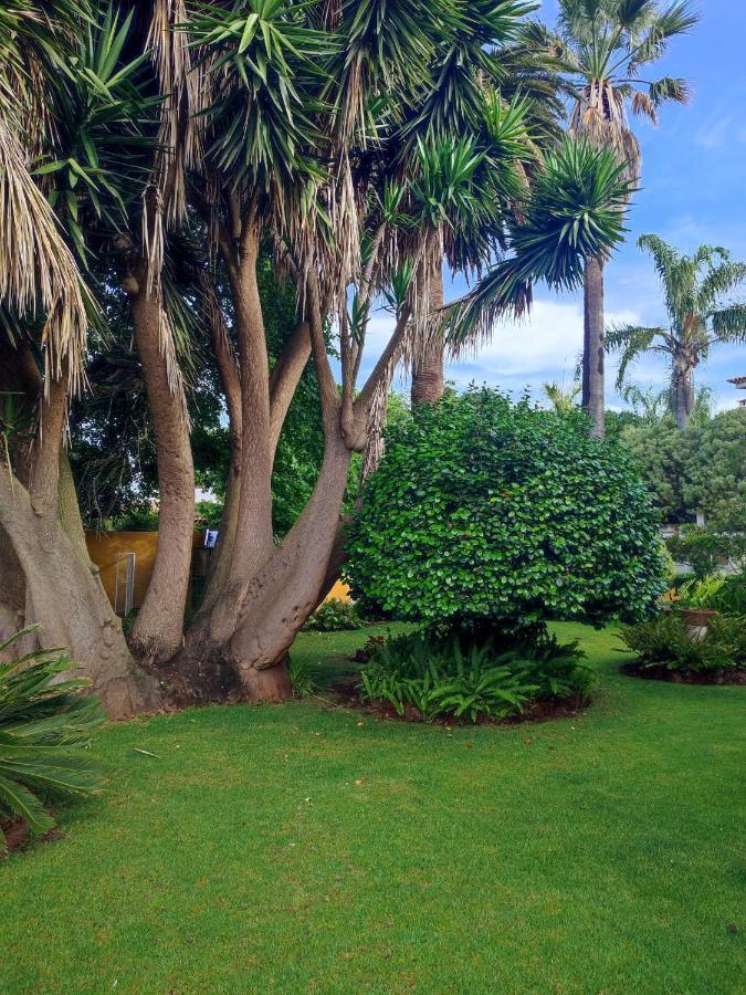 La Chimenea Verde กาโกรอนเต ภายนอก รูปภาพ