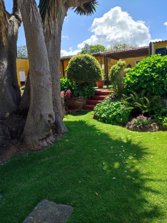 La Chimenea Verde กาโกรอนเต ภายนอก รูปภาพ